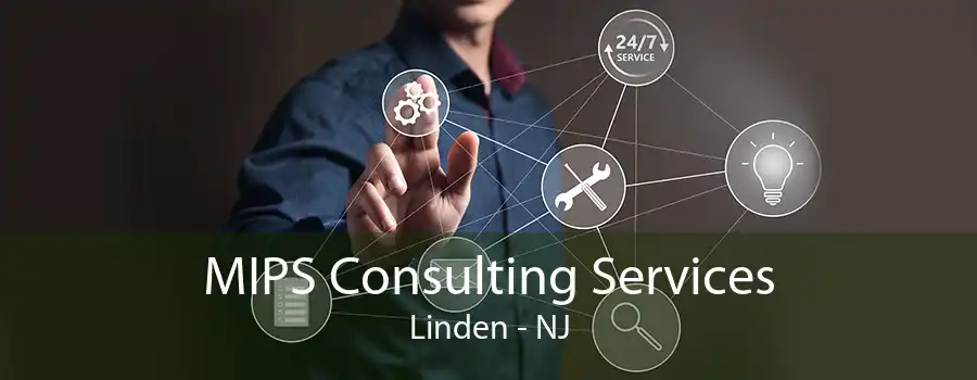 MIPS Consulting Services Linden - NJ