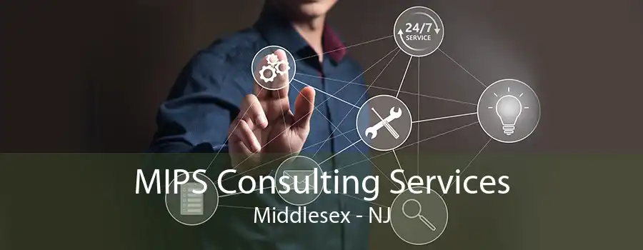 MIPS Consulting Services Middlesex - NJ