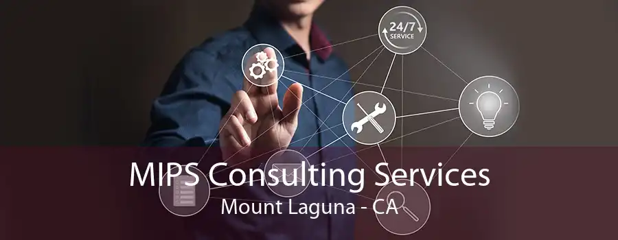 MIPS Consulting Services Mount Laguna - CA