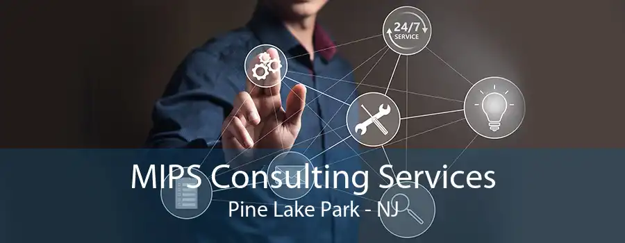 MIPS Consulting Services Pine Lake Park - NJ