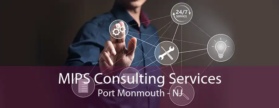 MIPS Consulting Services Port Monmouth - NJ