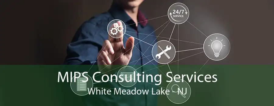 MIPS Consulting Services White Meadow Lake - NJ