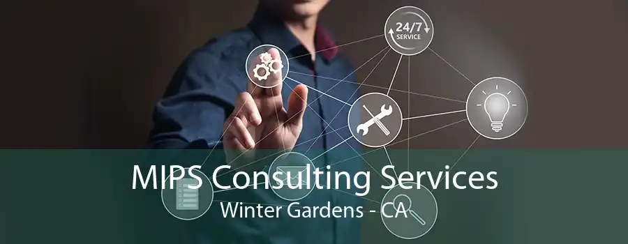 MIPS Consulting Services Winter Gardens - CA