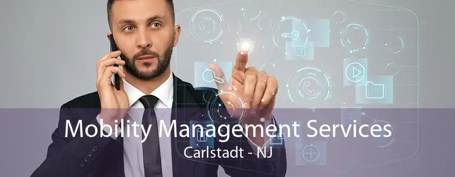 Mobility Management Services Carlstadt - NJ