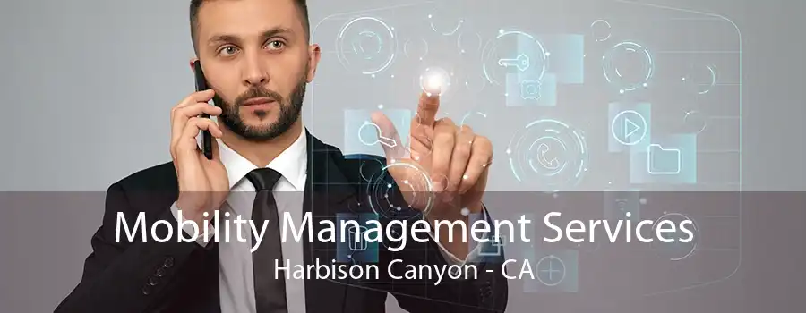 Mobility Management Services Harbison Canyon - CA