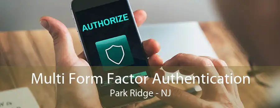 Multi Form Factor Authentication Park Ridge - NJ