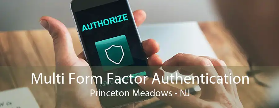 Multi Form Factor Authentication Princeton Meadows - NJ