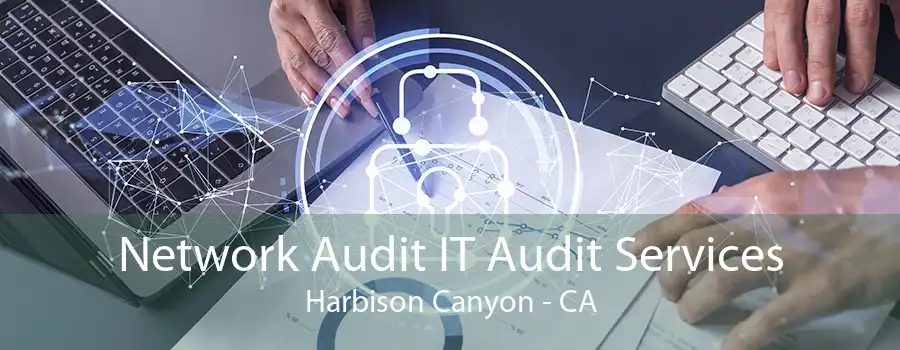 Network Audit IT Audit Services Harbison Canyon - CA