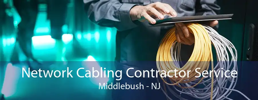 Network Cabling Contractor Service Middlebush - NJ