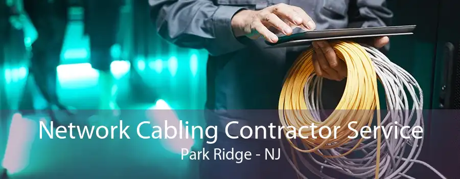 Network Cabling Contractor Service Park Ridge - NJ