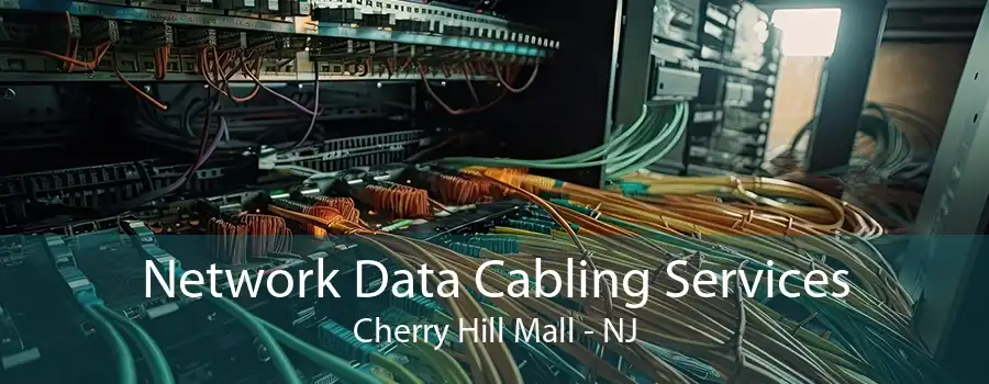 Network Data Cabling Services Cherry Hill Mall - NJ