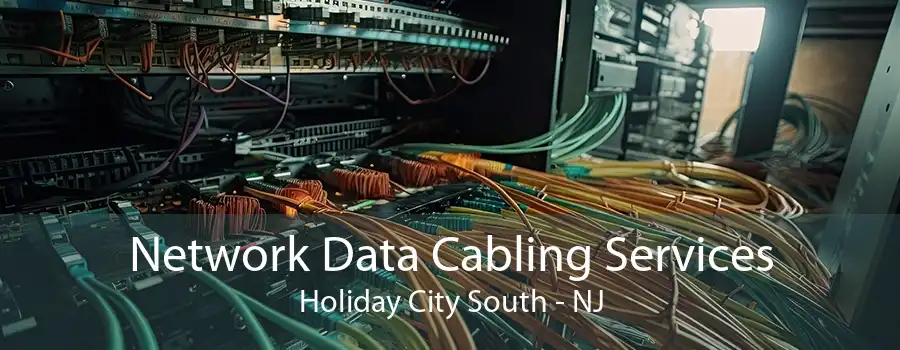 Network Data Cabling Services Holiday City South - NJ