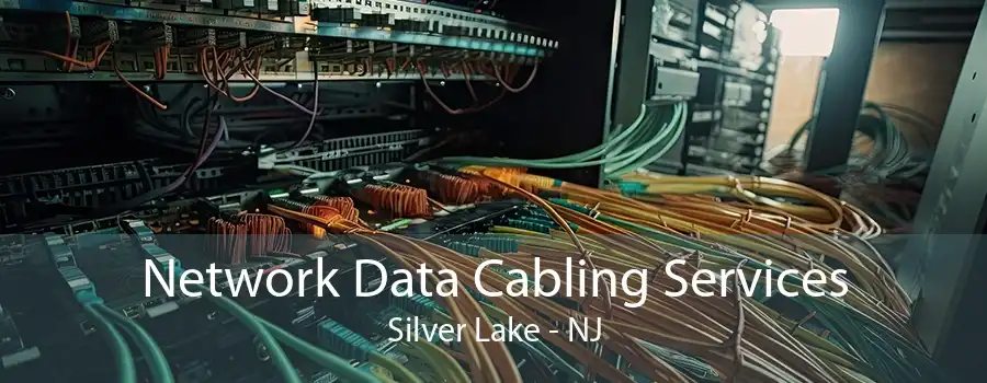 Network Data Cabling Services Silver Lake - NJ