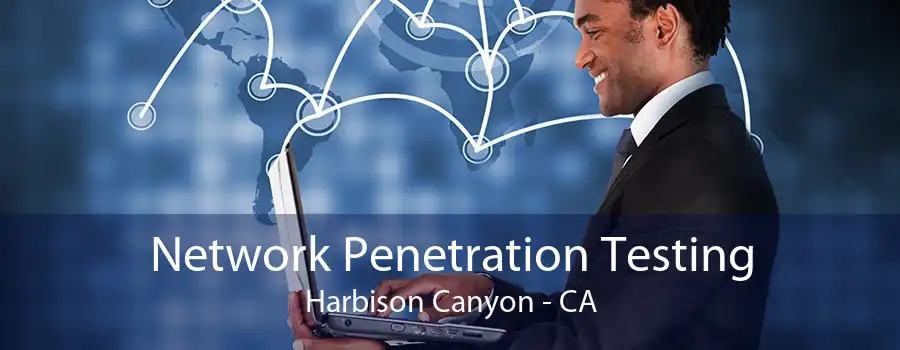 Network Penetration Testing Harbison Canyon - CA