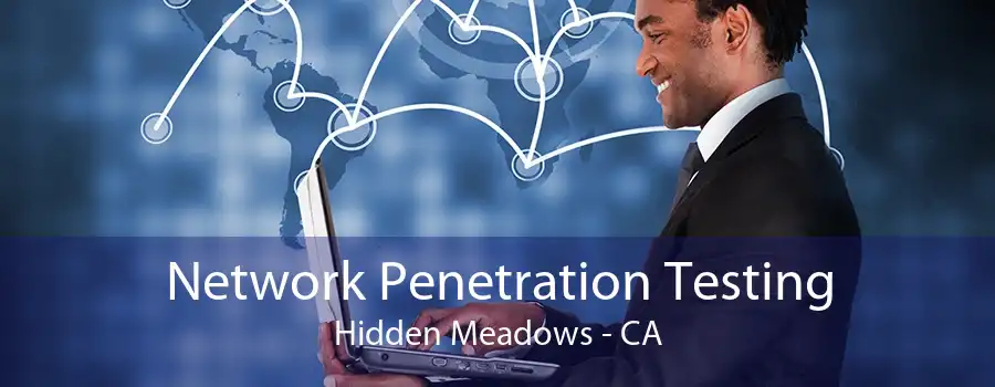 Network Penetration Testing Hidden Meadows - CA