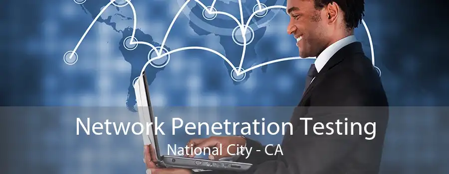 Network Penetration Testing National City - CA