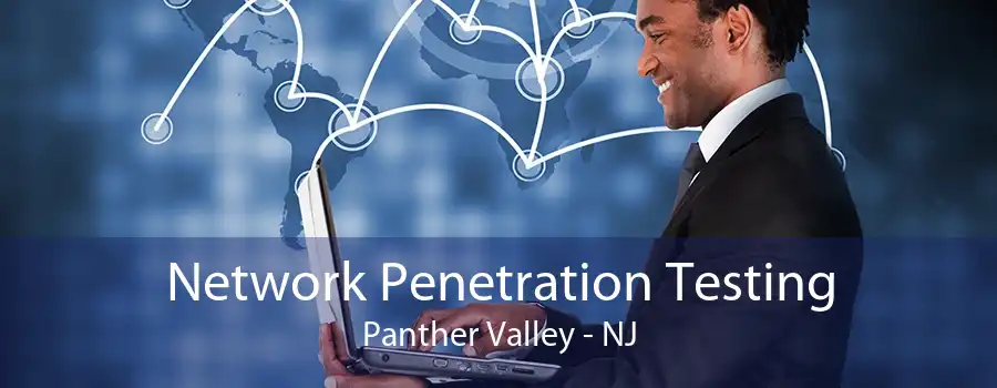 Network Penetration Testing Panther Valley - NJ