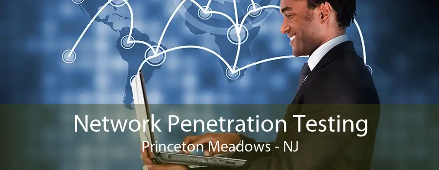 Network Penetration Testing Princeton Meadows - NJ