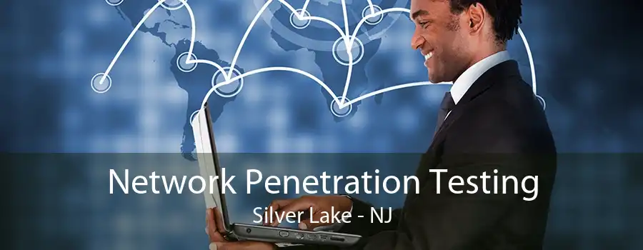 Network Penetration Testing Silver Lake - NJ