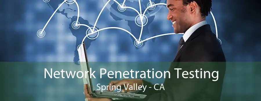 Network Penetration Testing Spring Valley - CA