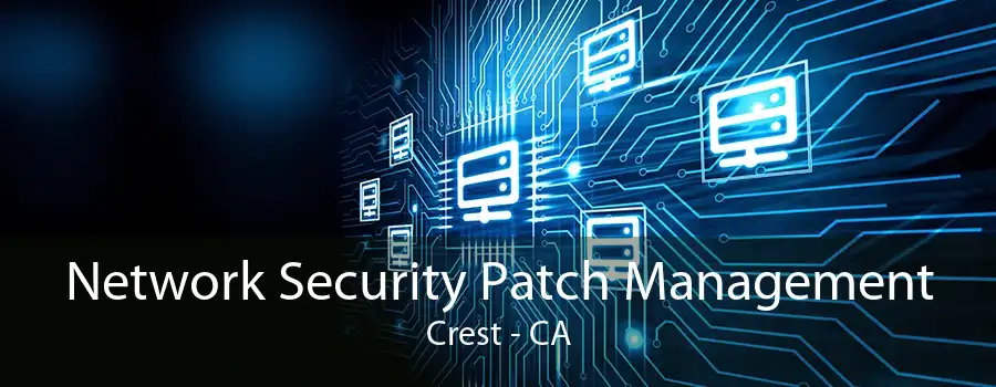 Network Security Patch Management Crest - CA