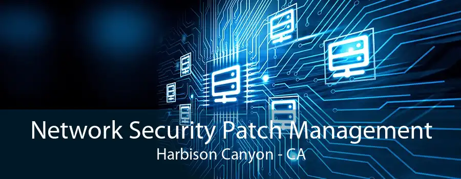 Network Security Patch Management Harbison Canyon - CA