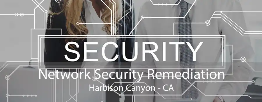 Network Security Remediation Harbison Canyon - CA