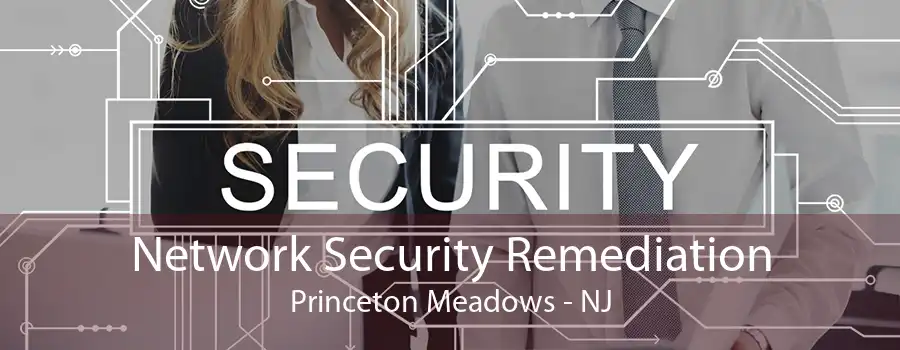 Network Security Remediation Princeton Meadows - NJ