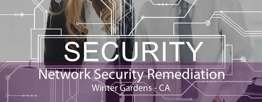 Network Security Remediation Winter Gardens - CA