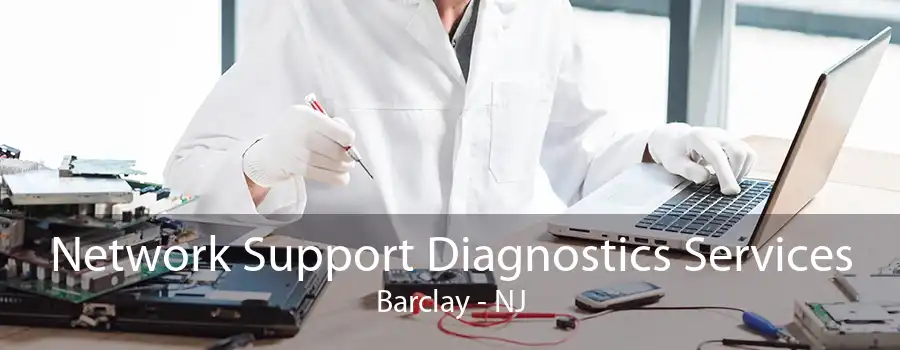 Network Support Diagnostics Services Barclay - NJ