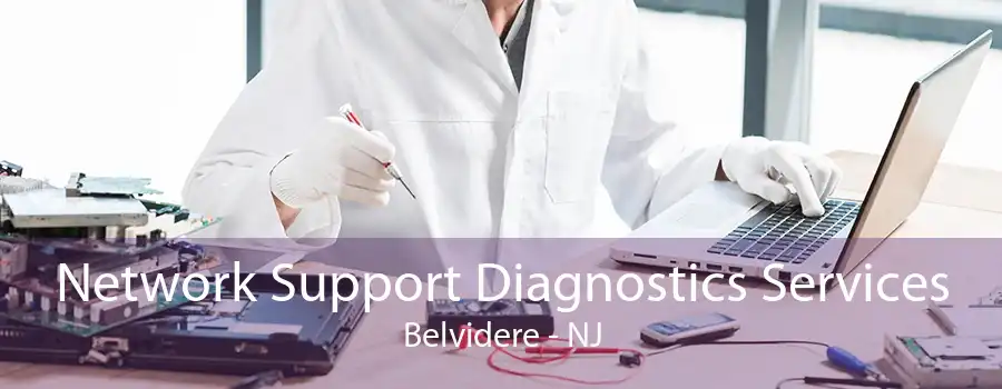 Network Support Diagnostics Services Belvidere - NJ