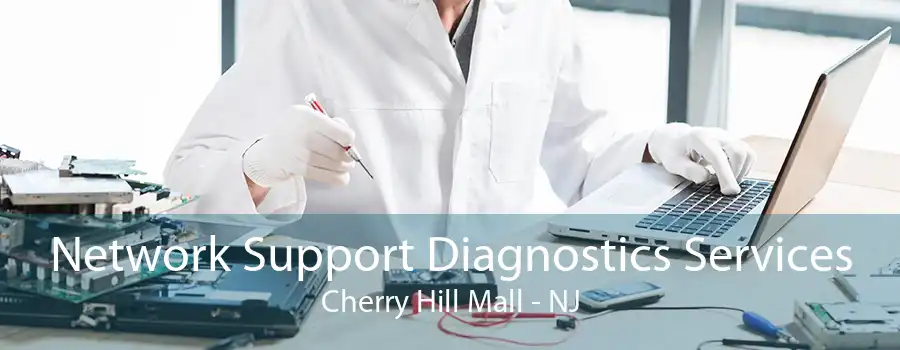 Network Support Diagnostics Services Cherry Hill Mall - NJ