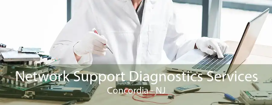 Network Support Diagnostics Services Concordia - NJ