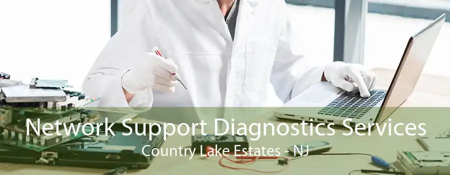 Network Support Diagnostics Services Country Lake Estates - NJ