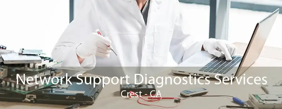 Network Support Diagnostics Services Crest - CA