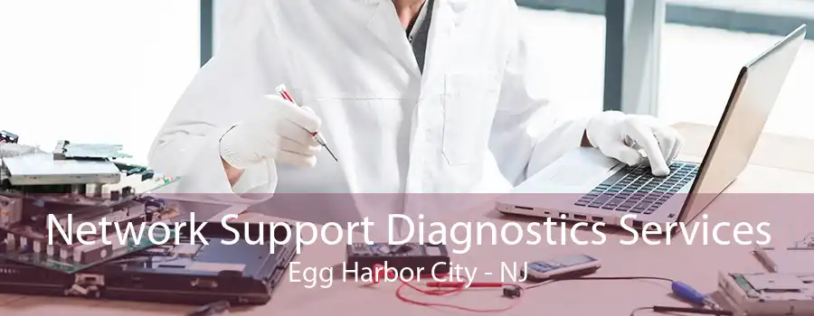 Network Support Diagnostics Services Egg Harbor City - NJ