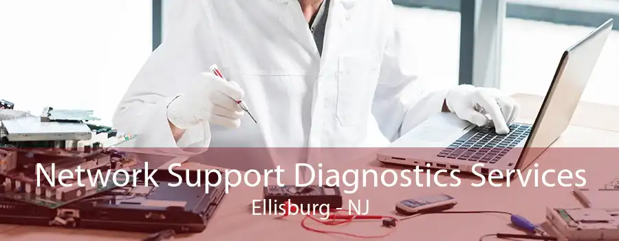 Network Support Diagnostics Services Ellisburg - NJ