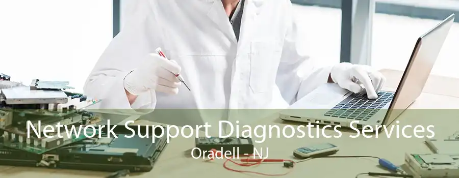 Network Support Diagnostics Services Oradell - NJ