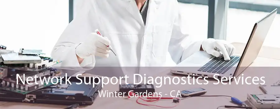 Network Support Diagnostics Services Winter Gardens - CA