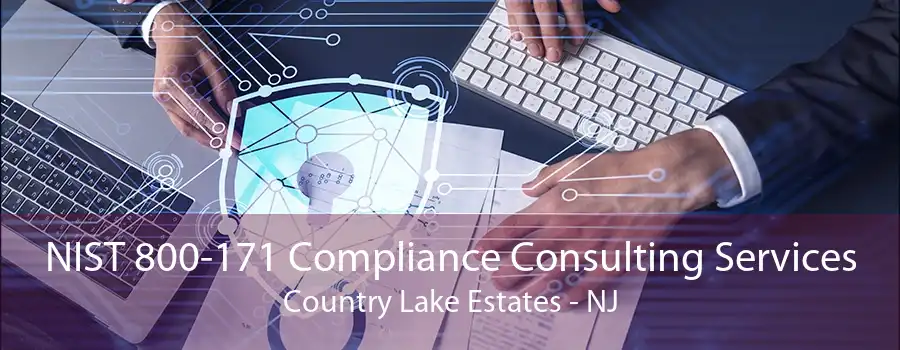 NIST 800-171 Compliance Consulting Services Country Lake Estates - NJ