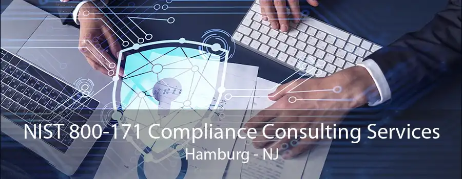 NIST 800-171 Compliance Consulting Services Hamburg - NJ