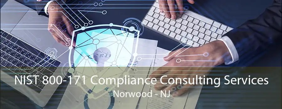 NIST 800-171 Compliance Consulting Services Norwood - NJ