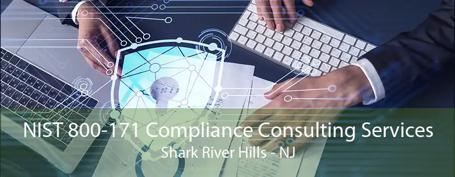 NIST 800-171 Compliance Consulting Services Shark River Hills - NJ