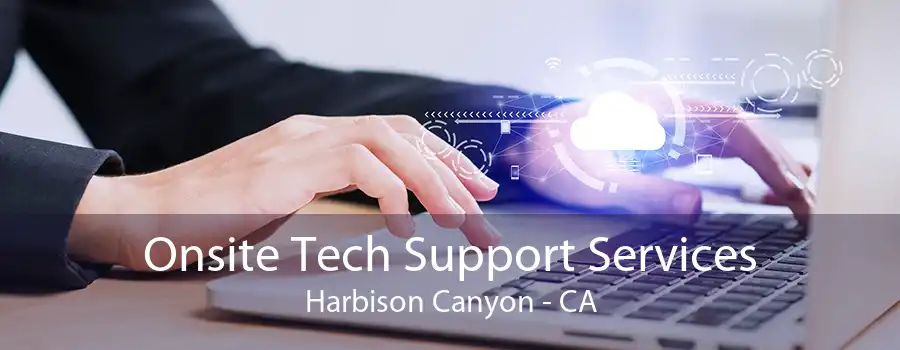 Onsite Tech Support Services Harbison Canyon - CA