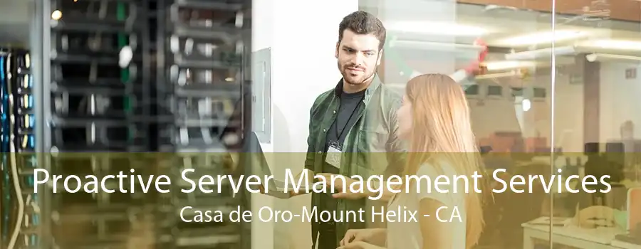 Proactive Server Management Services Casa de Oro-Mount Helix - CA