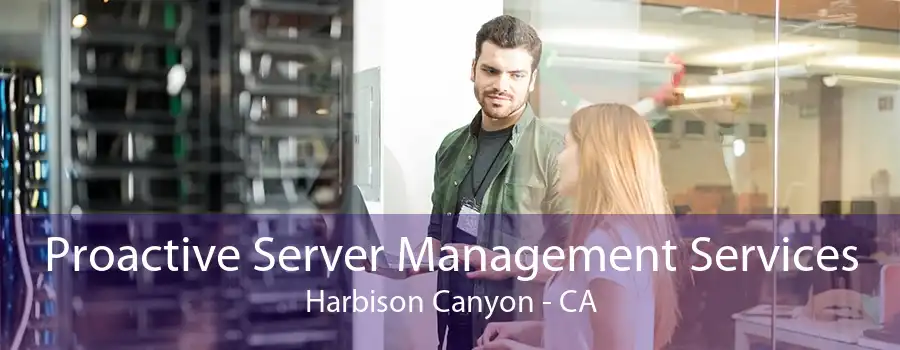 Proactive Server Management Services Harbison Canyon - CA