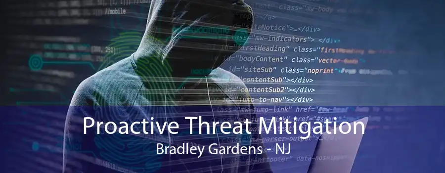 Proactive Threat Mitigation Bradley Gardens - NJ