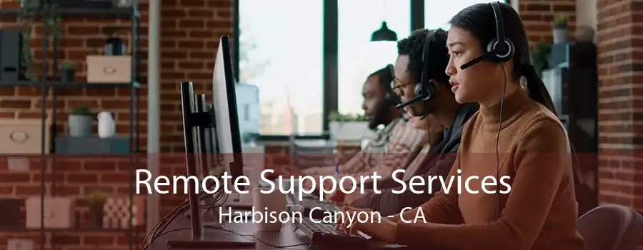 Remote Support Services Harbison Canyon - CA