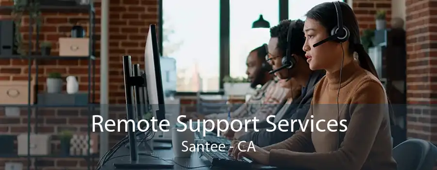 Remote Support Services Santee - CA