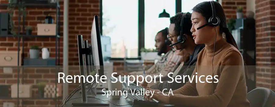 Remote Support Services Spring Valley - CA